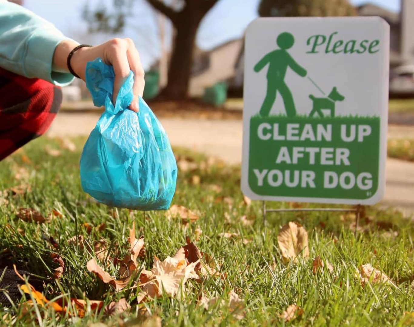 Pet waste removal service near me for Ohio yards
